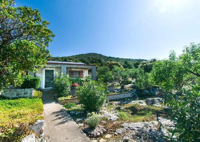 House Mate * Pašman