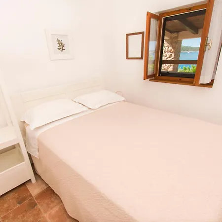 Tatil Evi House Mate