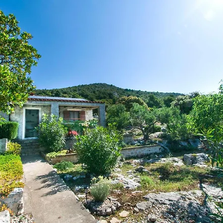 House Mate * Pašman