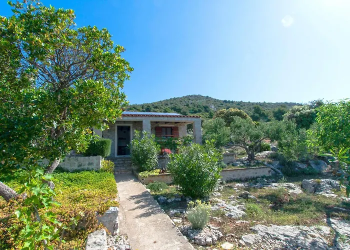 House Mate Пашман